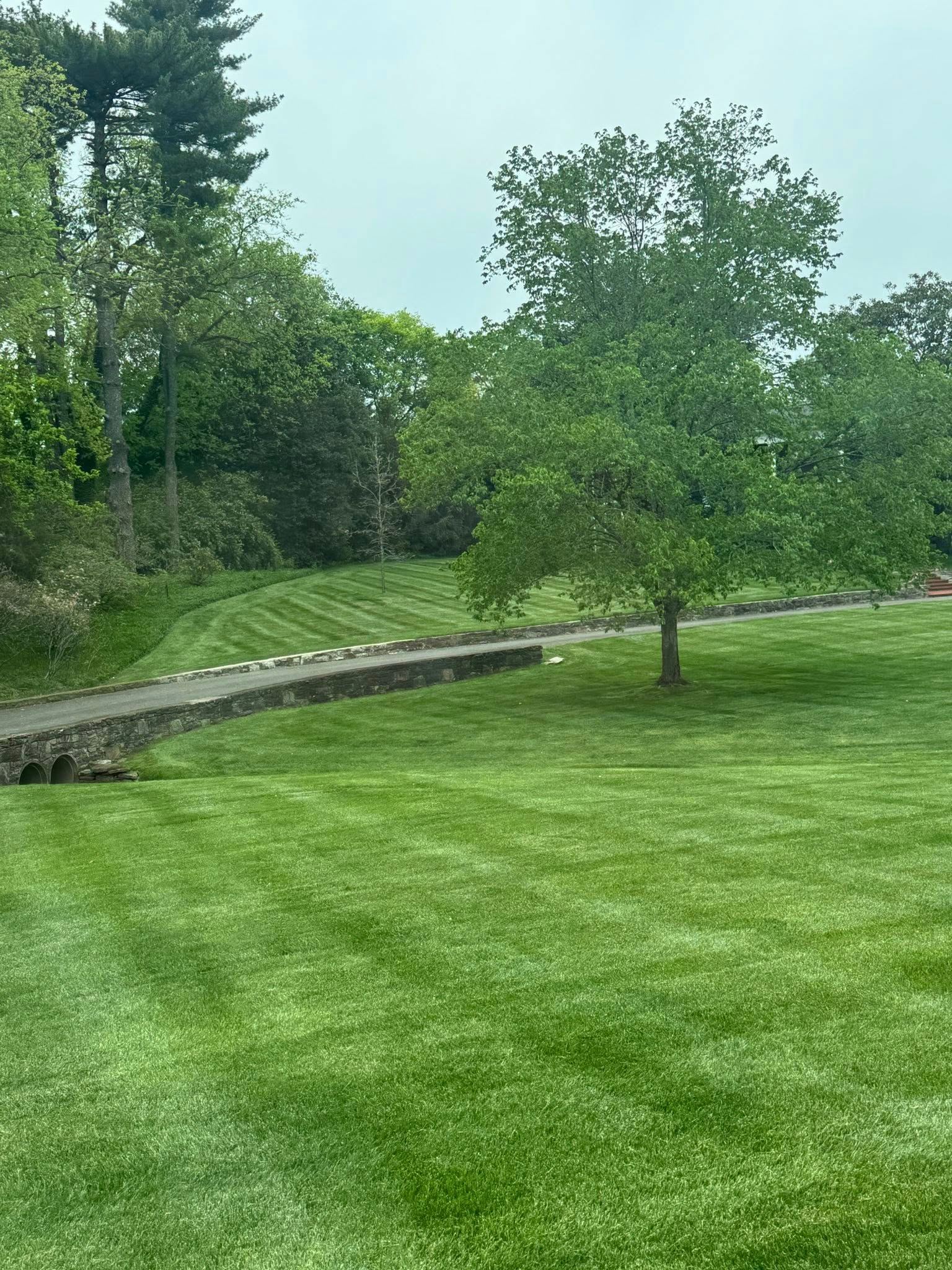 Beautifully striped and manicured lawn by NKW Landscape and Design